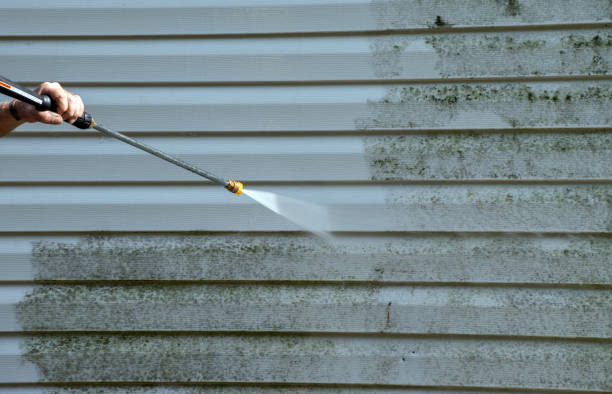 Best House Exterior Washing  in Wofford Heights, CA